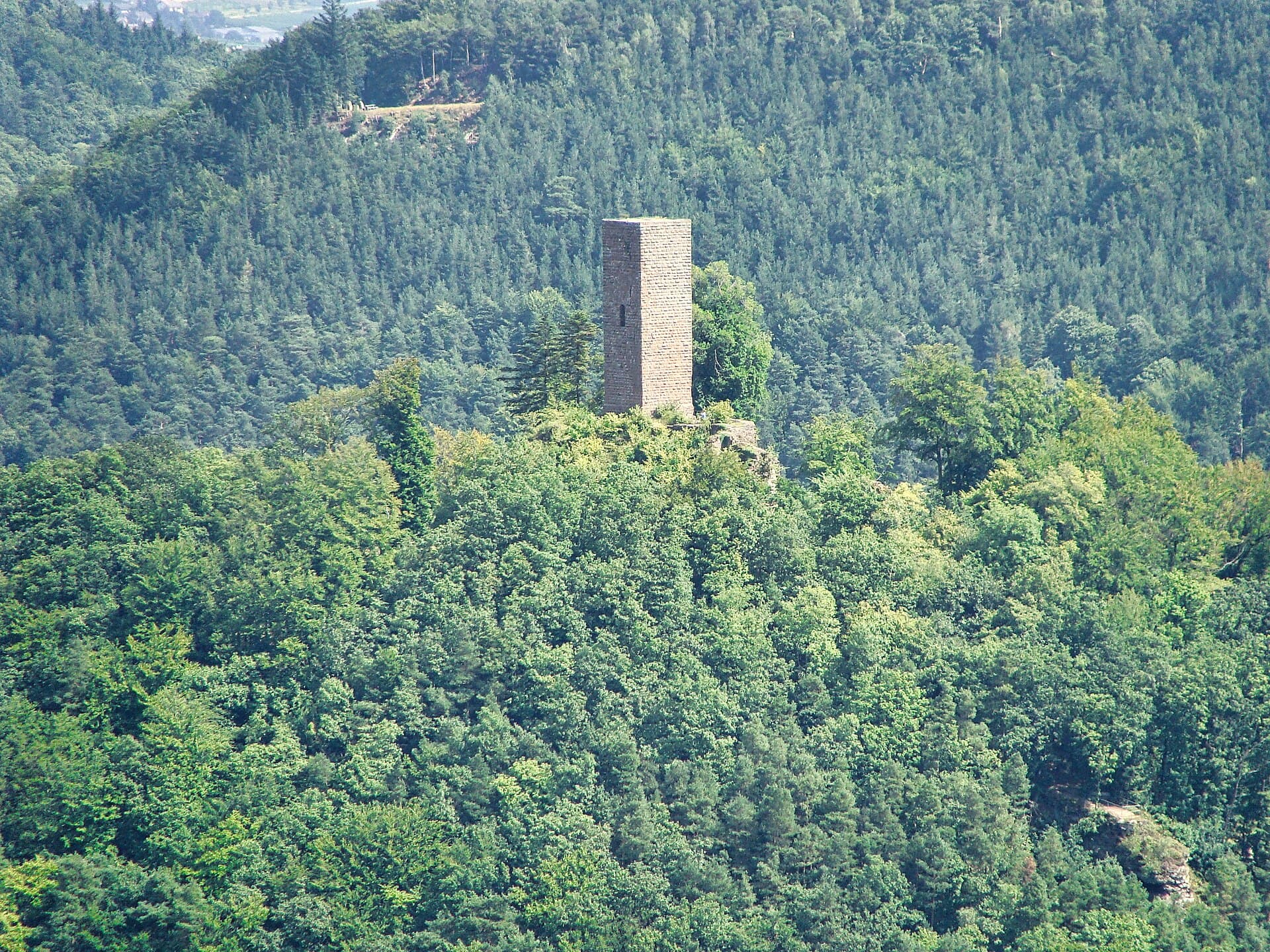 Burgruine Scharfenberg (Münz)